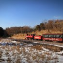 에코랜드 이미지