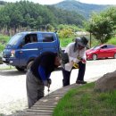 서후리 산촌생태마을 이미지