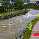 순천-12호 이미지