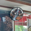 황소백반잔치국수 | 허영만의 백반기행 출연한 일산콩국수맛집 '덕이원조국수 일산본점'