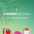 주식회사 블렌디드 이미지