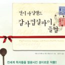 파이 아일랜드
