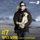 할리우드펫 이미지