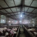 천천농장 이미지