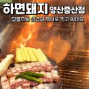 백호2길 | 양산증산고기집 하면돼지 양산증산점 짚불초벌 삼겹살 제대로 먹은 후기