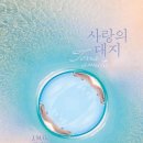 대지로 이미지