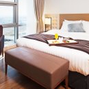 소노캄 고양 이미지