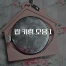 블리스캣 | 립키링 집착녀의 그동안 모았던 립키링 후기 모음 1