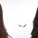 디자인헤어 H 이미지