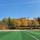 핑고아구찜 이미지