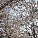 스튜디오일리 이미지