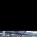 착한애견분양(원주점) 이미지