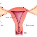 거여경희한의원 이미지