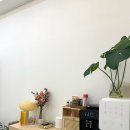 위드미 포항양학점 | 포항 신부관리 &amp; 자세교정 잘하는곳 벨루위드미 상체관리 후기