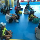 MTA 위브태권도 이미지