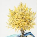 고향슈퍼 이미지