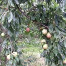 태양수지 이미지