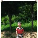 산울림 유아숲체험원 이미지