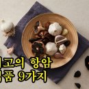 최고의 항암식품 9가지 이미지