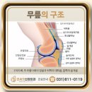 위시티정형외과의원 이미지