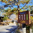 아트밸리자작나무 | 경기도 포천 캠핑장 청계호수 자작나무숲 캠핑장 0번 솔캠 명당