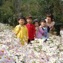 구절초로 이미지