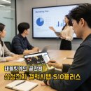삼성전자 갤럭시탭 S10 플러스 후기 30대 직장인 태블릿 추천 이유는