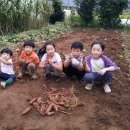 행복한작은고구마 네이버블로그