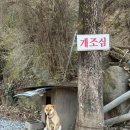 단양소백산가는길민박 | 단양 소백산 비로봉 등산/ 포토스팟/ 리얼 후기 / 소요시간 / 준비물