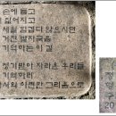 사지목나무그늘 이미지