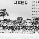 디지털카메라 사진예술 이미지