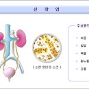 신장질환[ renal disease, 腎臟疾患 ] 이미지