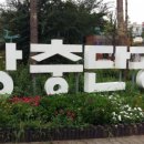동네족발 - 김해시 구지로180번길 28 | 동네족발