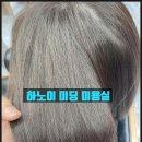 커트와염색