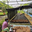 용토목장 이미지