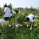 초지중학교 이미지