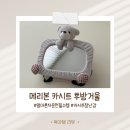 새싹 동물병원 | 메리본 카시트 후방거울 엄마 혼자 운전 필수템