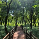 성류굴 관광지 이미지