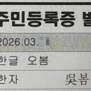 성본 | [1] 엄마 성으로 셀프 성본 변경 후기 _ 서류 준비&진술서 쓰는 방법&의견청취서