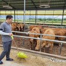 경주천년한우 와따농장 이미지