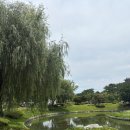 운멜로키친 | 수원 행궁동 운멜로 키친 3호점 UNMELO 주말 방문후기 (뇨끼, 상하이파스타, 와인)