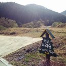 아리숲펜션 이미지