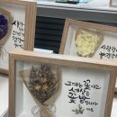 고삼면주민자치센터 | 주민자치센터 캘리그라피 수업후기 &amp; 사진 정리 팁