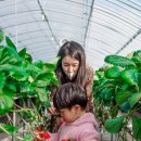 봄이네 농장 이미지