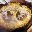 코끼리를키우는사람들주