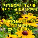 ＜연중 제10주간 수요일＞(6.12) 이미지