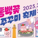 동백꽃수선화축제 티스토리