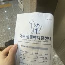 디엘프스튜디오