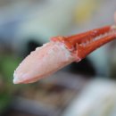 대성민물매운탕 | 영종도인스파이어 가족모임 용왕님한상 추천해요 영종도맛집 대성수산