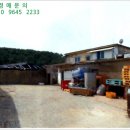 신지면-1 이미지